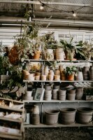 Pflanzgefäße & Blumentöpfe