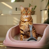 Katzentoilette & Streu