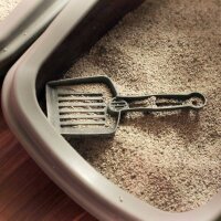 Katzenstreu & Streuzusätze