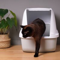 Katzentoiletten