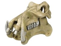 NOBBY Aqua Ornaments "Flusspferd Schädel",...