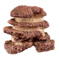 NOBBY AO "Felsformation", 19 x 11 x 16 cm