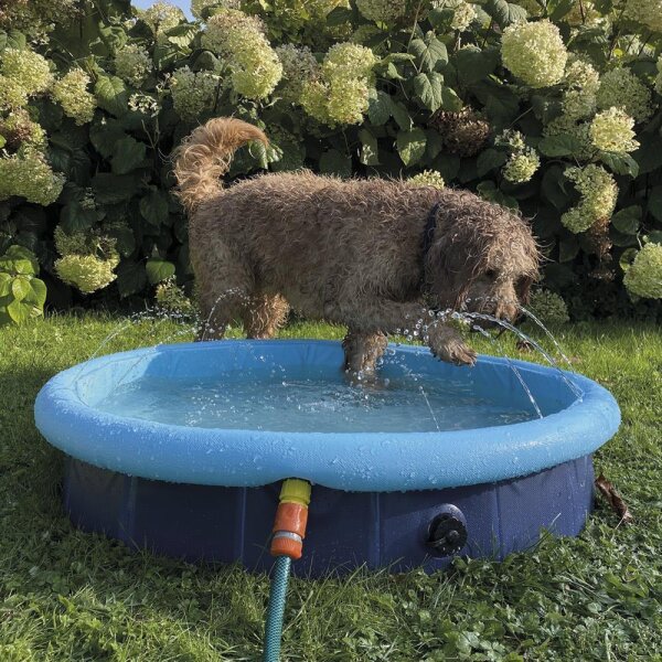 NOBBY Splash Pool 2 in 1, blau, M, Ø 120 x 30 / 35 cm