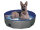NOBBY Hundepool inkl. Abdeckung, grau/blau, S,  Ø 80 x 20 cm