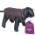 NOBBY „LIGHT“ Hundemantel, purpur-braun, 29 cm