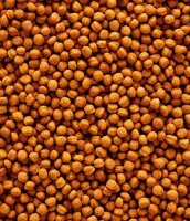 NUTRIBIRD T16 Extrudierte Pellets, für Frucht und Insektenfressende Vögel, 10 kg