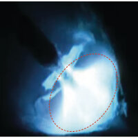 SCHWEISSKRAFT MIG/MAG-Impulsschweißgerät PRO-PULS 300 W