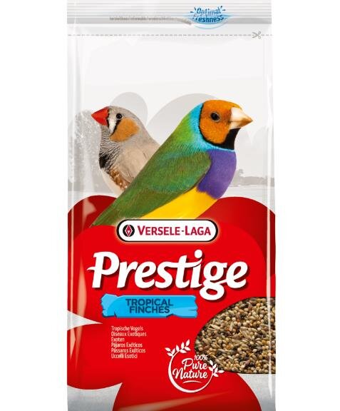 PRESTIGE Exoten Qualitätssamen, 1 Kg