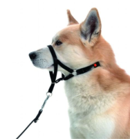 KARLIE Anti-Zug-Halfter Mastercontrol, Größe: 6