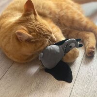 AUMÜLLER Fledermaus Frido Baldrian-Katzenspielkissen