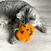 AUMÜLLER Kürbis Baldrian-Katzenspielkissen