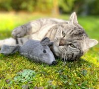 AUMÜLLER Katzenspielzeug Baldi-Maus