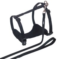 NOBBY Katzengarnitur "Mesh", schwarz, S-M