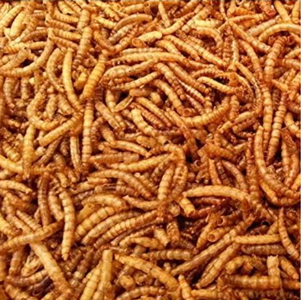 Mehlwürmer getrocknet 5 kg