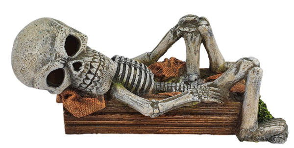 NOBBY Aqua Ornaments "LIEGENDES SKELETT", 17 x 7,8 x 7,3 cm