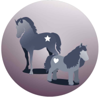 NOBBY "Adelar Pro" Trimmer, schwarz