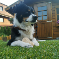 NOBBY TPR Spielzeug "Peanut", beige, 11 cm