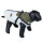 NOBBY Hundemantel "JONA 2 in 1" hellgrün 36 cm