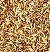 Soldatenfliegenlarven getrocknet, 5 kg