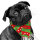 NOBBY Xmas Schal