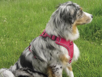 NOBBY Komfortgeschirr "Mailo"