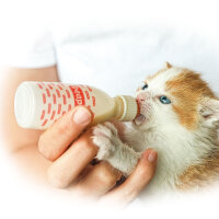 BEAPHAR Lactol Aufzucht-Milch Katze