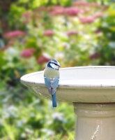 ESSCHERT DESIGN Vogeltränke aus Keramik auf Fuß, creme