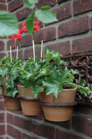 ESSCHERT DESIGN Blumentopfhalter "Klassik" aus Gusseisen, 3-fach