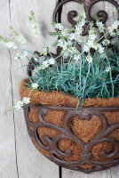 ESSCHERT DESIGN Wandpflanzschale aus Gusseisen