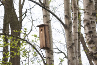 ESSCHERT DESIGN Nistkasten für Buntspechte