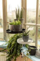 ESSCHERT DESIGN Terracotta Blumentöpfe, anthrazit, 3er Set