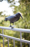 ESSCHERT DESIGN Vogel - Schreck Krähe