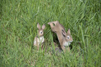 ESSCHERT DESIGN Deko - Figur Sitzender Hase, braun