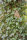ESSCHERT DESIGN Nistkasten "Camouflage" für Zaunkönige