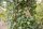 ESSCHERT DESIGN Nistkasten "Camouflage" für Zaunkönige