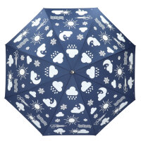 ESSCHERT DESIGN Farbverändernder Regenschirm...