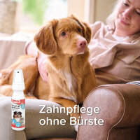 BEAPHAR Zahnpflege Zerstäuber, 150 ml