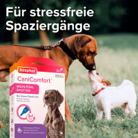 BEAPHAR CaniComfort® Wohlfühl Spot-On für Hunde, 3 x 1 ml