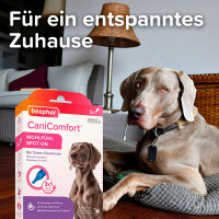 BEAPHAR CaniComfort® Wohlfühl Spot-On für Hunde, 3 x 1 ml