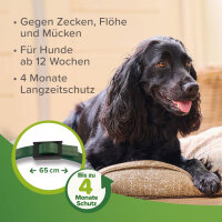 BEAPHAR Zecken- und Flohschutz Halsband für Hunde, grün, 65 cm