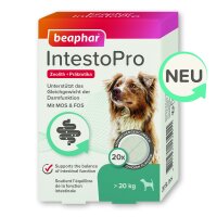 BEAPHAR IntestoPro Tabs für große Hunde, 20...