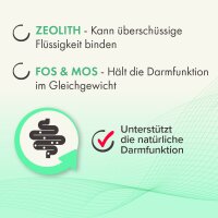 BEAPHAR IntestoPro Tabs für große Hunde, 20 Stück