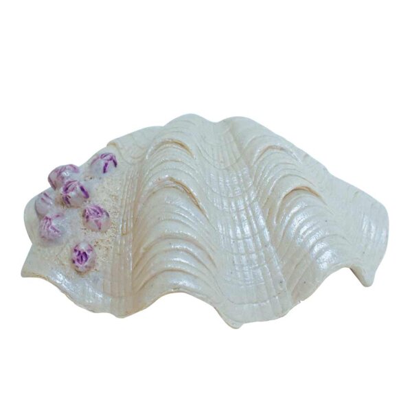 NOBBY Aqua Ornaments "Muschel", 14,5 x 10,7 x 5,3 cm