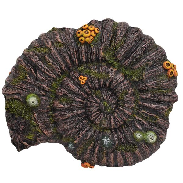 NOBBY Aqua Ornaments "Ammoniten Fossil", 33,8 x 28,5 x 10 cm