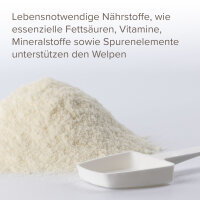 BEAPHAR Lactol Aufzucht-Milch Hund