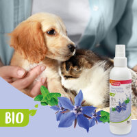 BEAPHAR Bio Kämmhilfe Spray, 200 ml