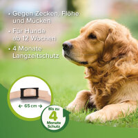 BEAPHAR Zecken- und Flohschutz Halsband für Hunde,...