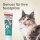 BEAPHAR Junior Paste für Katzen, 100 g