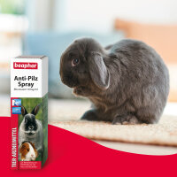 BEAPHAR Anti-Pilz Spray für Kleinnager, 50 ml
