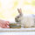 BEAPHAR Care+ Kaninchen Futter, 10 kg